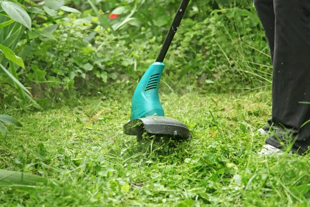 Entretien jardin à Vitrolles